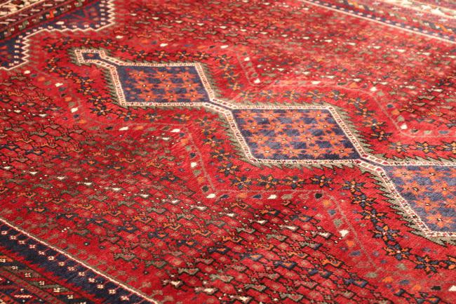 Shiraz - 6