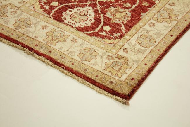 Ziegler Farahan - 2