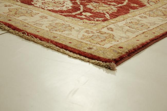 Ziegler Farahan - 3