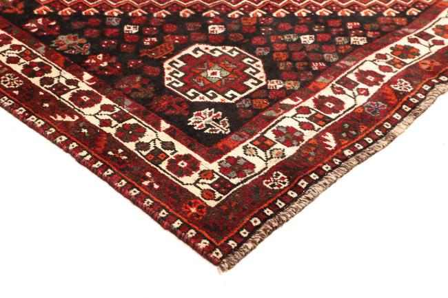 Shiraz - 4