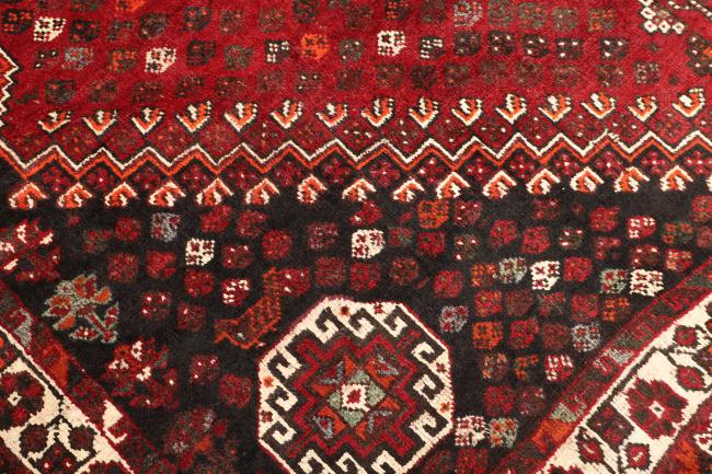 Shiraz - 5
