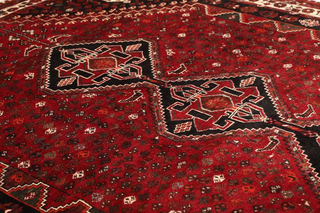 Shiraz - 6