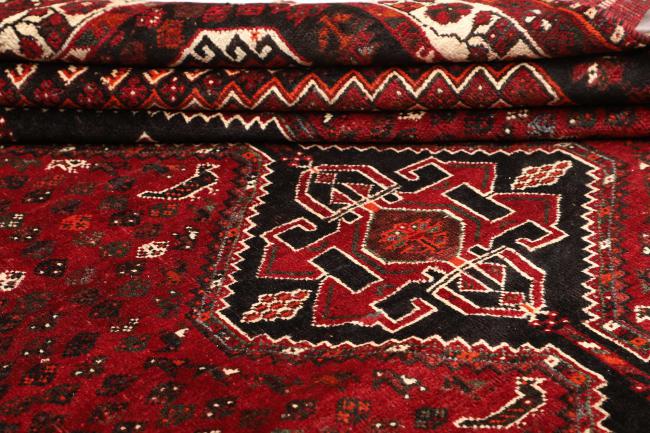 Shiraz - 9