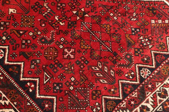 Shiraz - 5