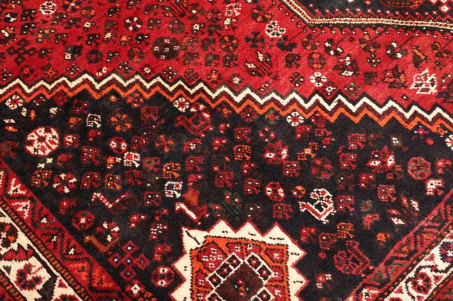 Shiraz - 5