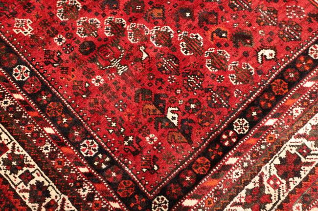 Shiraz - 5