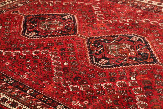 Shiraz - 6