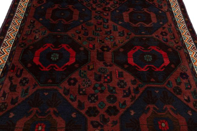 Shiraz - 8