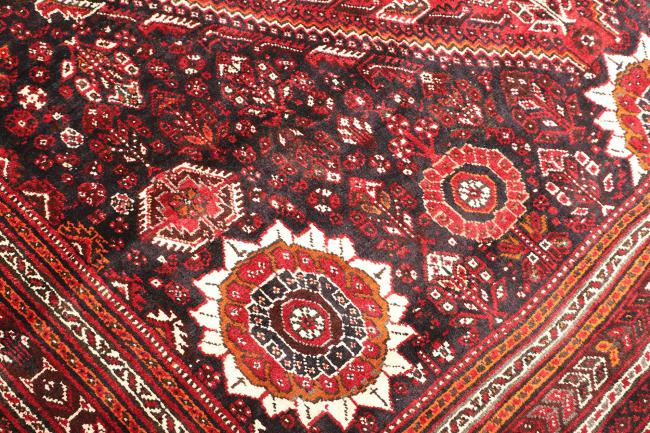 Shiraz - 5