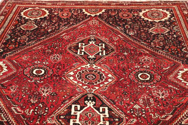 Shiraz - 7
