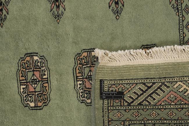Pakistan Buchara 3ply - 1