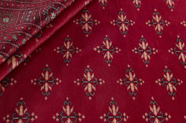 Pakistański Buchara 3ply - 2