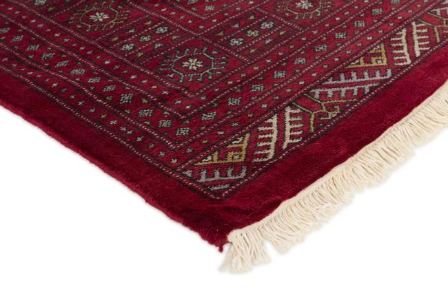 Pakistański Buchara 3ply - 3