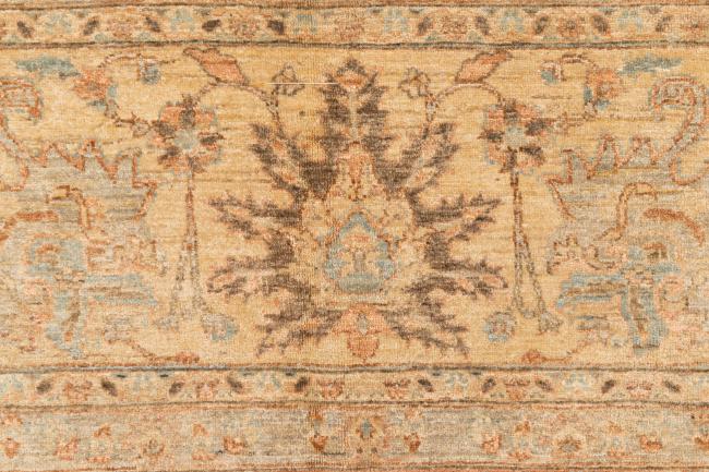 Ziegler Farahan - 5