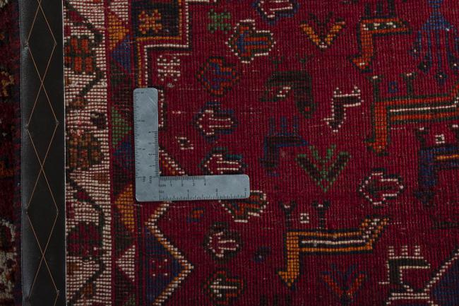 Shiraz - 8