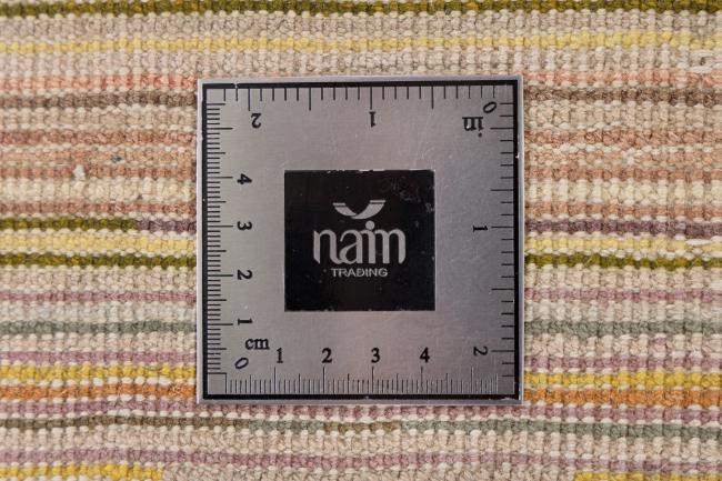 Cinesi Ninxia Vegeta Vecchio - 7