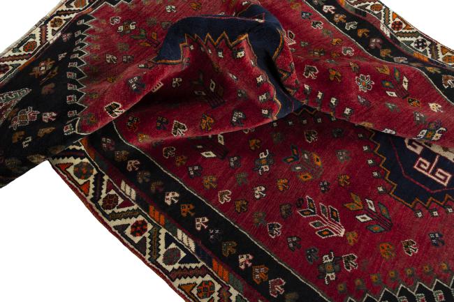 Shiraz - 8