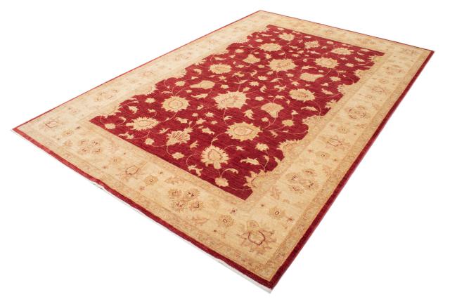 Ziegler Farahan - 2