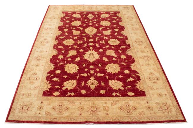 Ziegler Farahan - 3