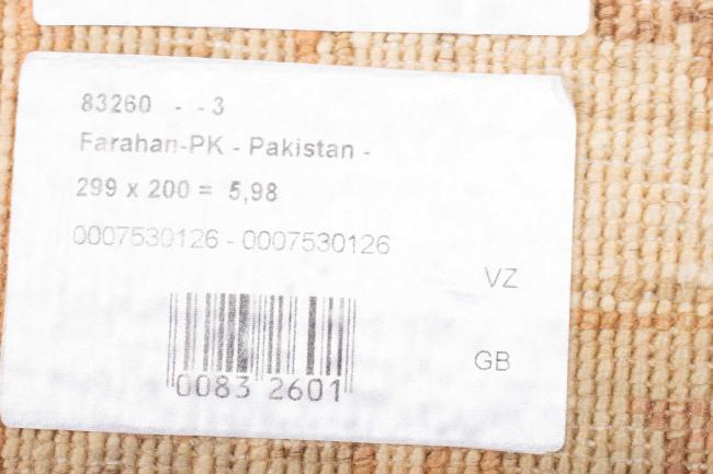Ziegler Farahan - 8