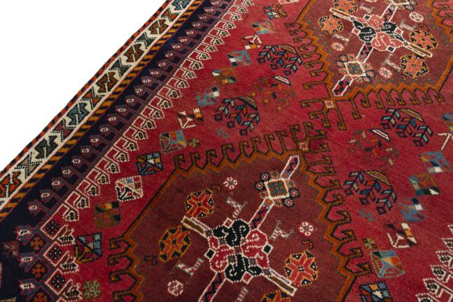 Shiraz - 4