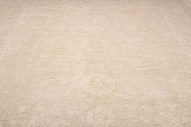 Ziegler Farahan - 6