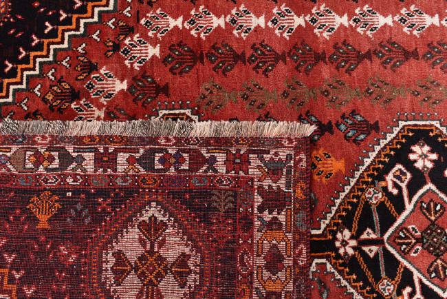 Shiraz - 6