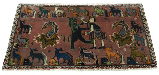 Shiraz - 3