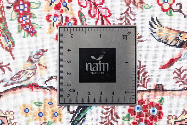 Qum Silk - 8