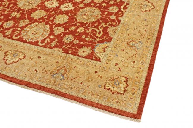 Ziegler Farahan - 3