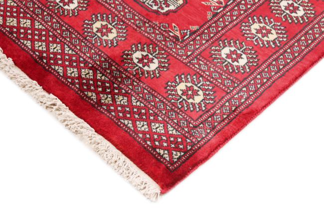 Pakistan Buchara 3ply - 4