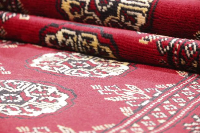Pakistan Buchara 3ply - 6