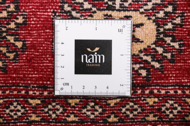 Pakistan Buchara 3ply - 7