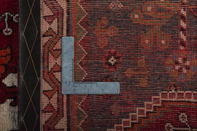 Shiraz - 9