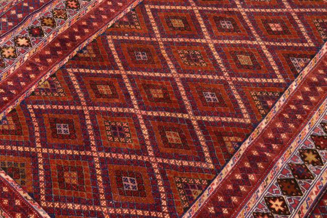 Afghan - 3