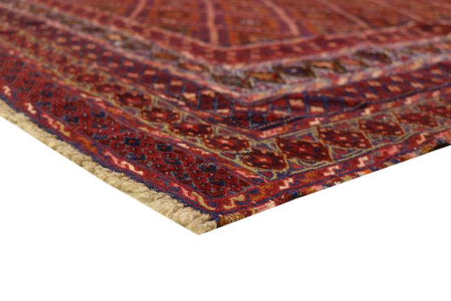 Afghan - 6