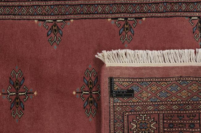 Pakistan Buchara 3ply - 1