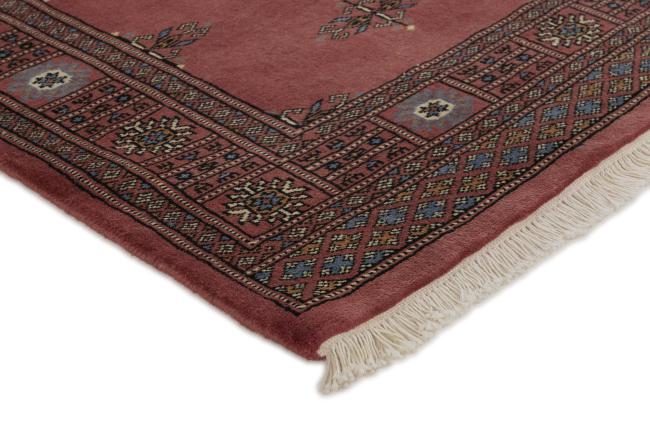 Pakistan Buchara 3ply - 3