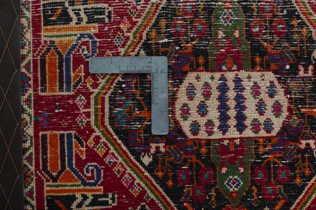 Shiraz - 4