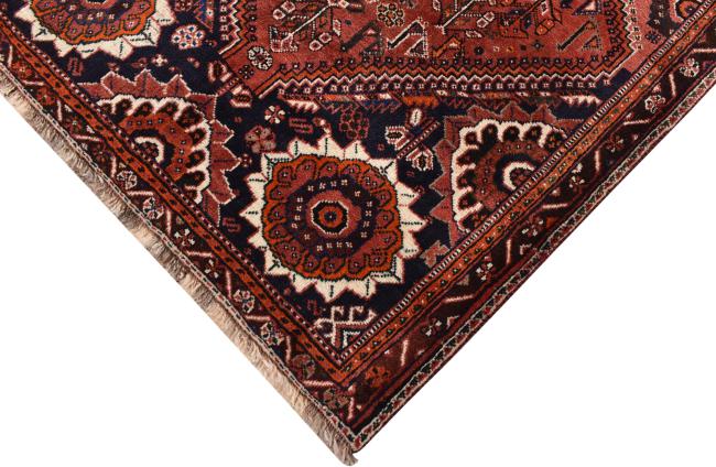 Shiraz - 4