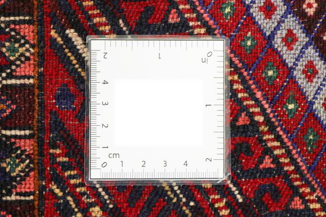 Afghan - 8