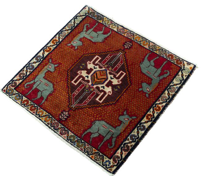 Shiraz - 1