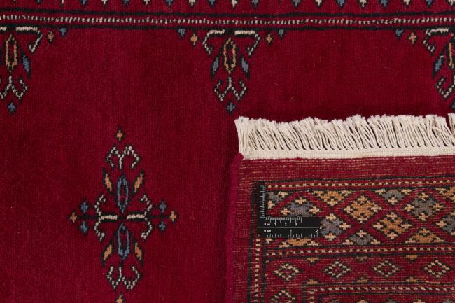 Pakistan Buchara 2ply - 1