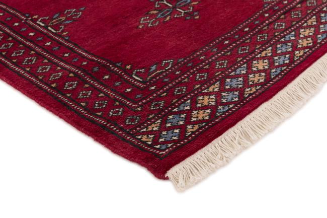 Pakistan Buchara 2ply - 3
