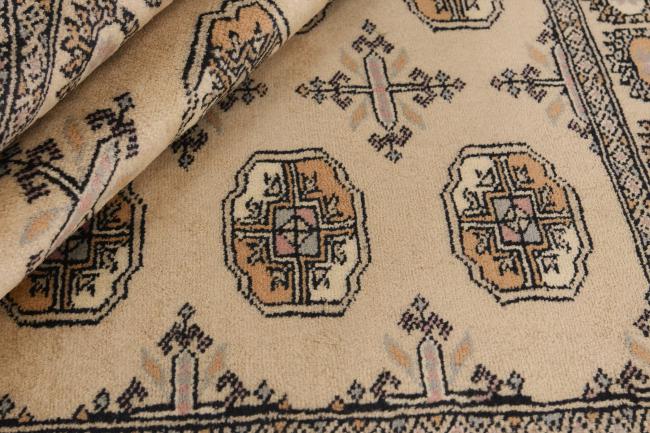 Pakistan Buchara 3ply - 2