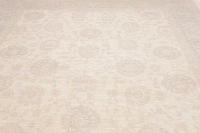 Ziegler Farahan - 7