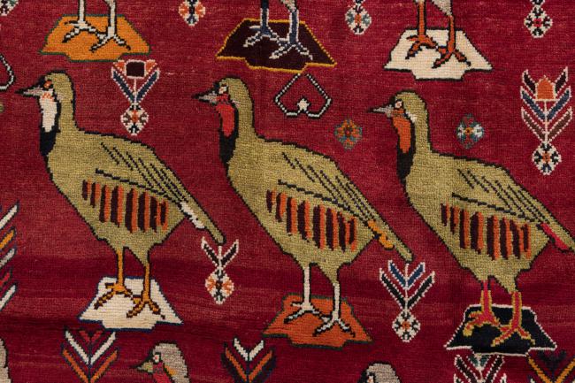 Persia Gabbeh Ghashghai - 6