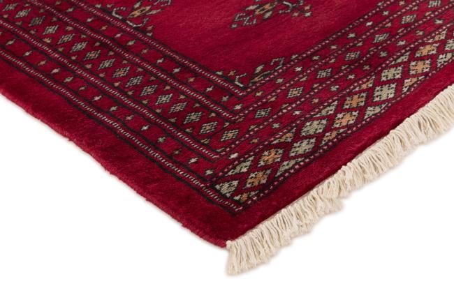Pakistan Buchara 2ply - 3