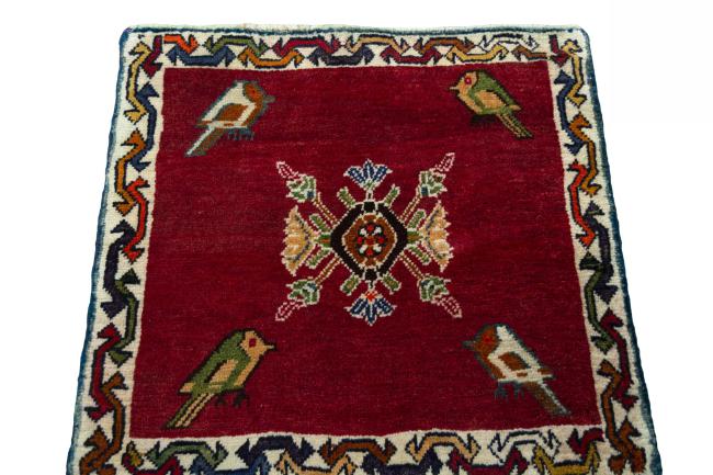 Shiraz - 3