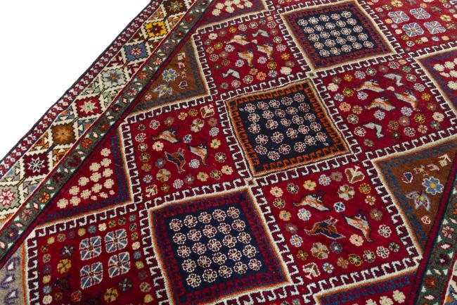 Shiraz - 4